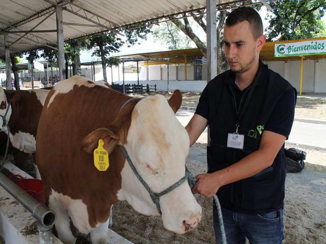 La Fiesta Nacional de la Agricultura cumplió con el manejo sanitario de la muestra ganadera    