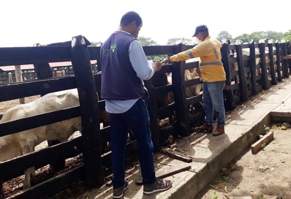 Guajira_vacunacion_2.jpg