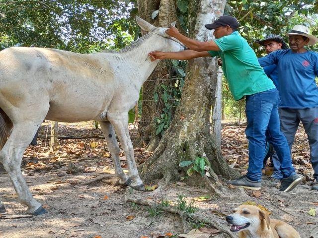 Vacunación EEV Catatumbo