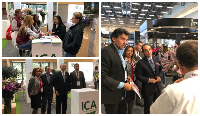 En Proflora 2019, el ICA asegura la calidad fitosanitaria de las flores que ingresan a la feria