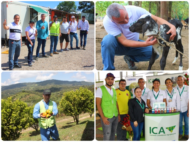 Desde el campo construimos la paz total, el 2022, un año óptimo del ICA para el fortalecimiento del campo colombiano
