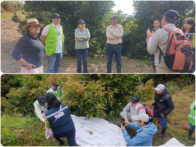 Foto-ICA-Visitas-de-verificacion-para-la-activacion-del-plan-de-trabajo-operativo-con-Chile-1.jpg