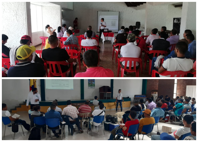 Vacunadores de Mariquita y Chaparral, listos para afrontar el 2do ciclo de vacunación contra la fiebre aftosa en el Tolima 