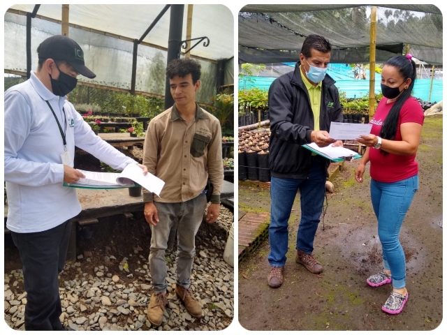 El ICA trabaja por la sanidad del material vegetal en el departamento de Caldas
