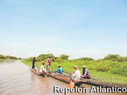 Ica multiplica peces en embalse del Guájaro, Atlántico