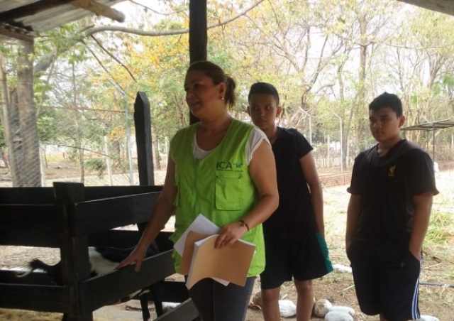 En Casanare, estudiantes se capacitan en el diagnóstico de enfermedades de control oficial en caprinos 