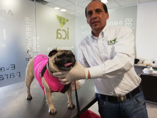 Nuevas disposiciones ingreso de mascotas a Estados Unidos