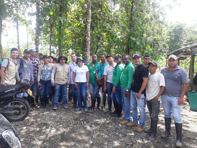 Productores del Urabá Antioqueño trabaja con el ICA por la sanidad en los cultivos de cítricos