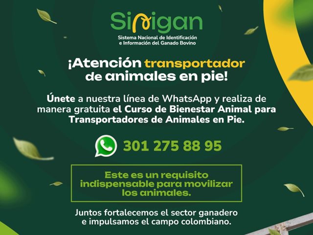 Curso de bienestar animal en el transporte.