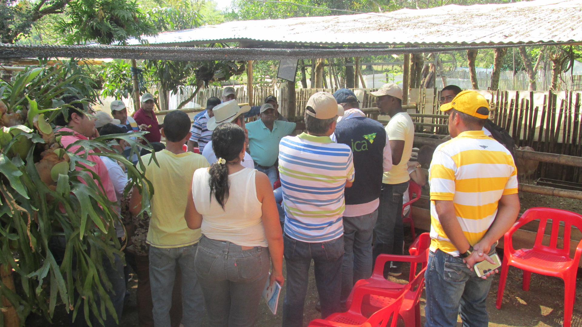 Ante-cambios-bruscos-en-las-temperaturas-el-ICA-alerta-a-productores-agropecuarios-en-todo-el-pais-3.JPG