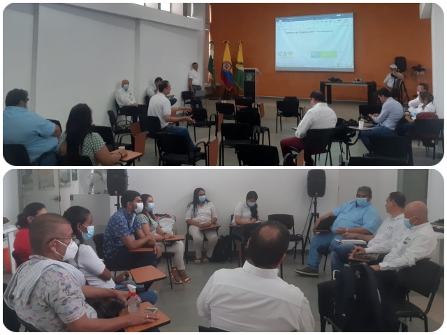Trabajo coordinado entre el ICA y Fedegan permite la vacunación contra aftosa en Bolívar 
