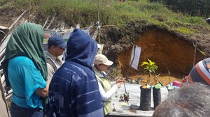 ICA-capacita-a-los-cultivadores-de-aguacate-hass-de-Antioquia-para-el-ingreso-de-la-fruta-a-mercados-internacionales-1.jpg