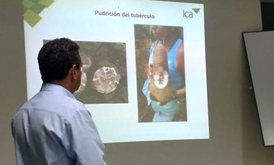 Foto_Sucre02.jpg
