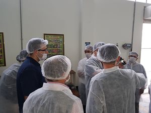 Aguacate-3.jpg