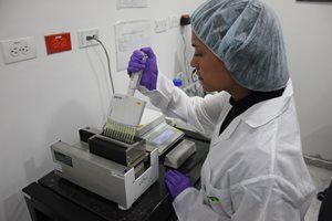 Foto-Principal-Lab02.JPG