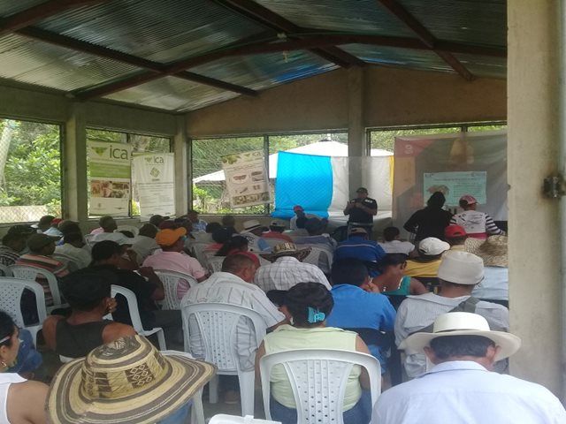 El ICA protege la riqueza agropecuaria de los Montes de María
