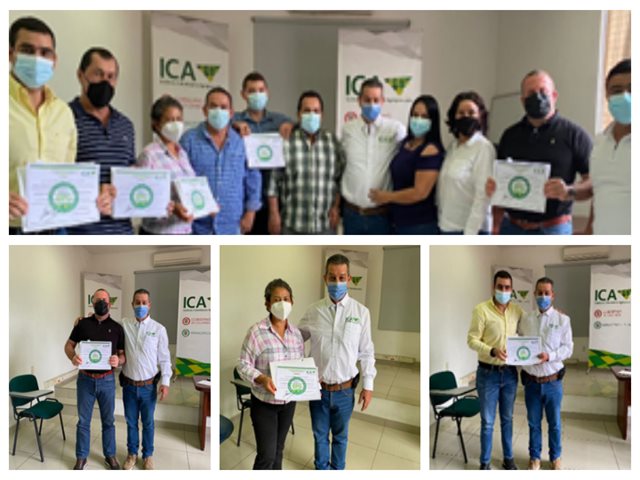 Más productores de Norte de Santander certificados en Buenas Prácticas Ganaderas.  