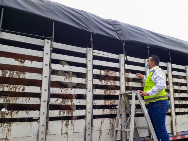 Prorroga de la Resolución 060865 