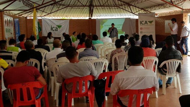 El ICA, en el Cauca, le cumplió al sector agropecuario de la región