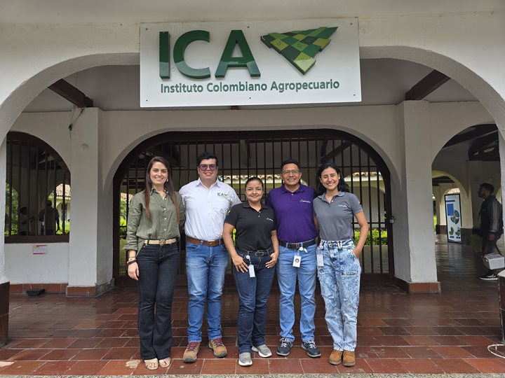 ICA-VALLE-23042025.jpeg