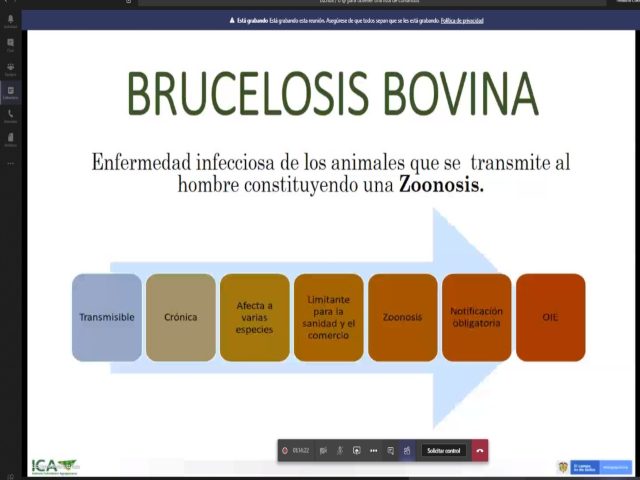 Capacitación 1 ciclo de vacunación por Microsoft Teams. 