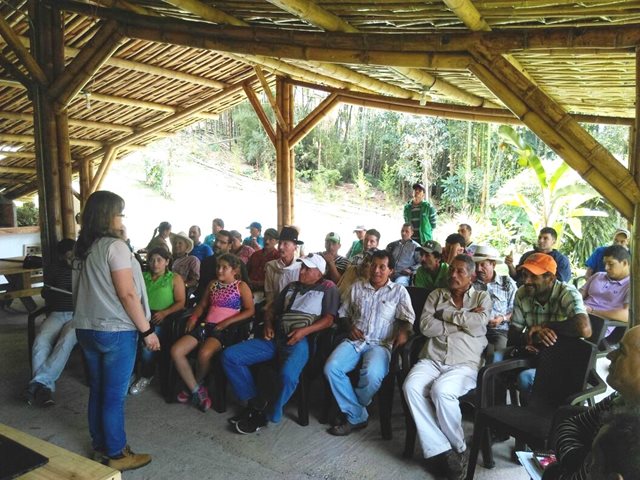 Productores de aguacate Hass de Caldas se entrenan con el ICA sobre  plagas de control oficial 