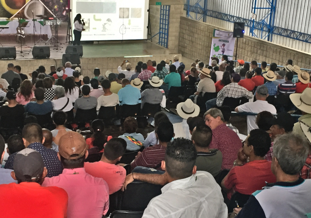 Productores antioqueños se capacitan para prevenir enfermedades del plátano y banano