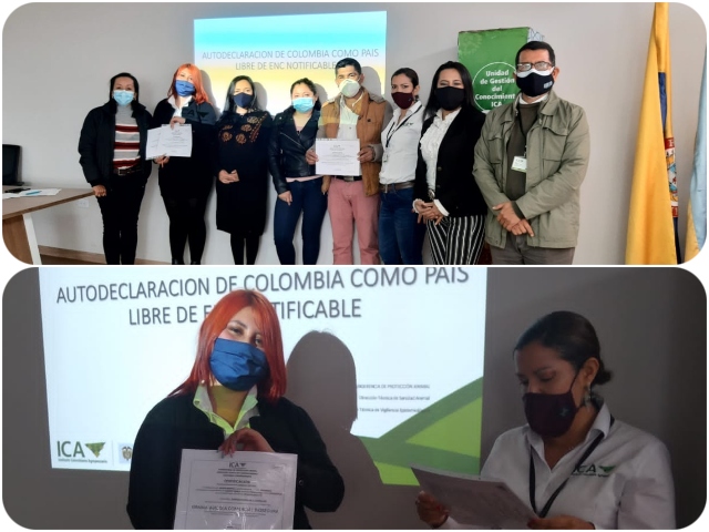 Socialización resolucion OIE