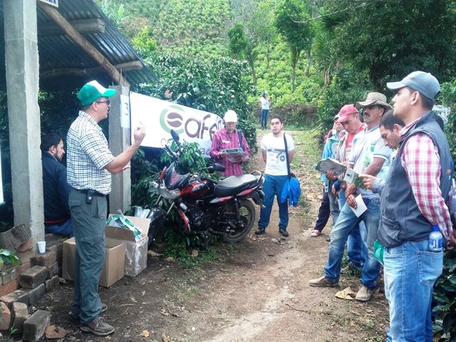 El ICA socializa proceso para certificación en Buenas Prácticas Agrícolas a productores cafeteros de Nariño