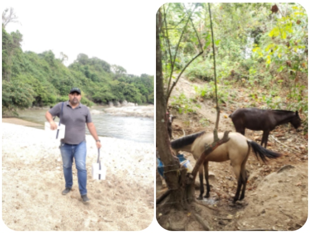  Toma de muestras equinos Parque Nacional Tayrona