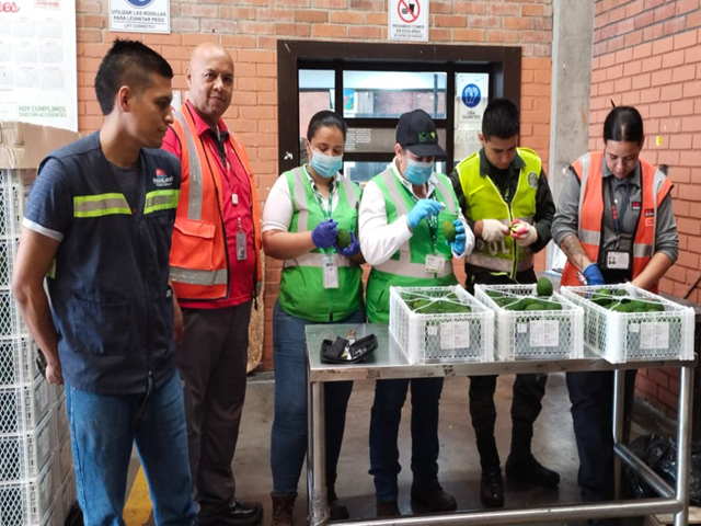 El ICA lidera inspección para reactivar exportaciones de fruta en fresco con destino a Europa, desde el Aeropuerto Bonilla Aragón
