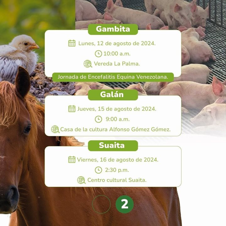 PECUARIOS-SANTANDER1.jpg