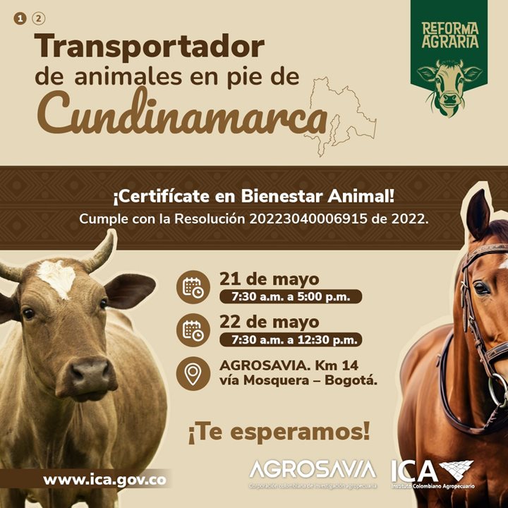 ICACUNDINAMARCA.jpeg