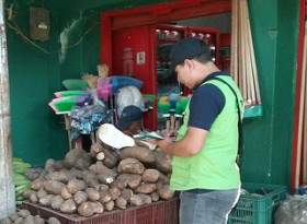 inspeccion-vegetal-ICA-bolivar.jpg