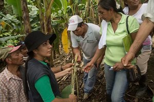 capacita-4.jpg