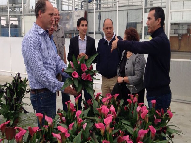 Colombia verifica procedimientos con Holanda para el cumplimiento de requisitos fitosanitarios que permiten la importación de material vegetal