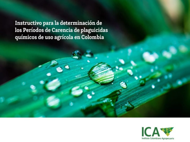 Instructivo para robustecer la interpretación y aplicación de la resolución para la determinación de periodos de carencia 