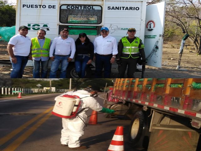 En el Cesar, continua el control a la movilización de material vegetal 