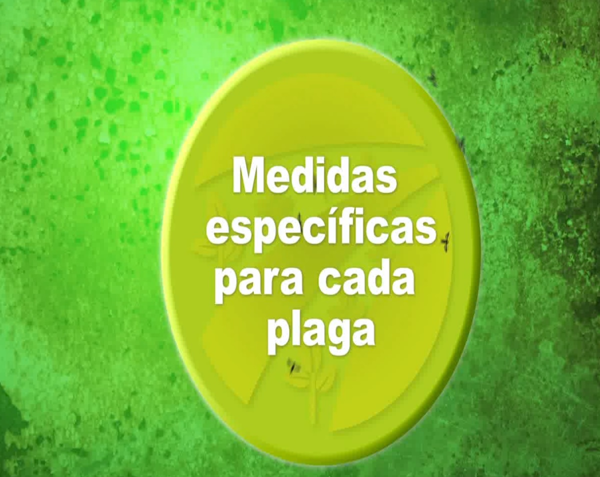 Prevención y Manejo fitosanitario 