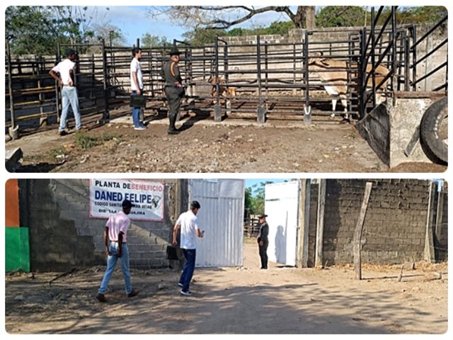 El ICA inspecciona planta de beneficio en La Guajira