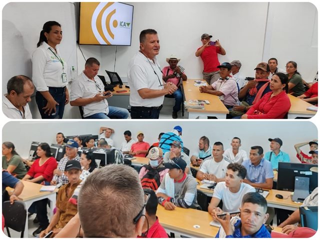 En Caquetá, el ICA socializó a productores de limón Tahití los requisitos y procedimientos para la certificación en buenas prácticas agrícolas 