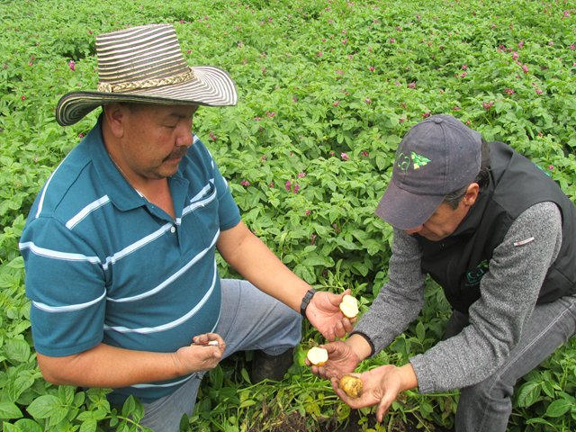 En consulta pública proyecto de resolución para registro de predios de exportación  de vegetales y plantas empacadoras