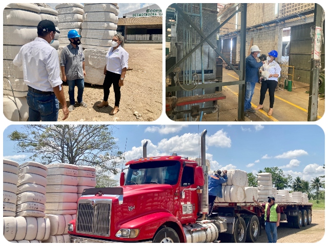 El ICA y Coopiagros trabajan en equipo en pro de la producción algodonera de Córdoba  