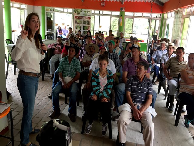 Aguacateros del Tolima conocen el “Plan Operativo de Trabajo” para exportar su producto a Estados Unidos