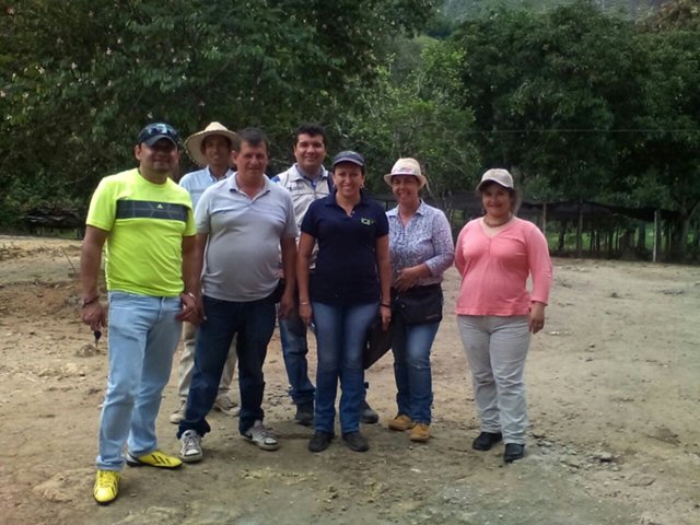 Productores de cacao en Nilo trabajan para implementar las buenas prácticas agrícolas en sus fincas