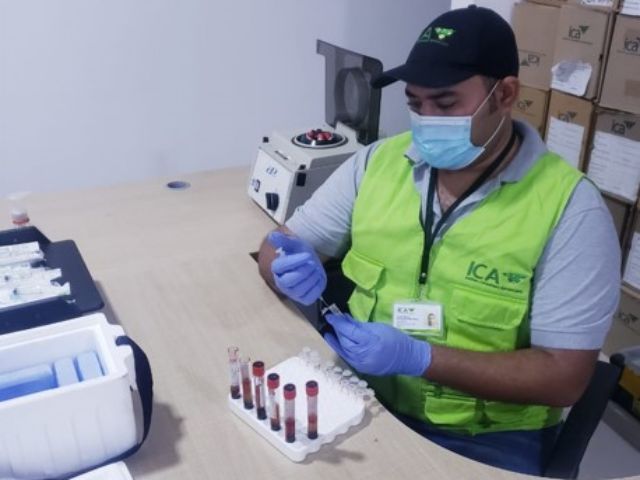 El ICA vigila e inspecciona equinos del Parque Tayrona 