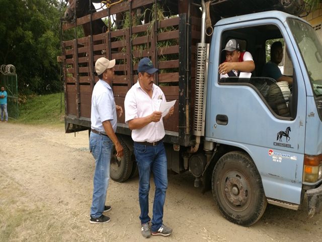 El ICA garantizó estatus sanitario en el marco de Expoagro Sincelejo 2017