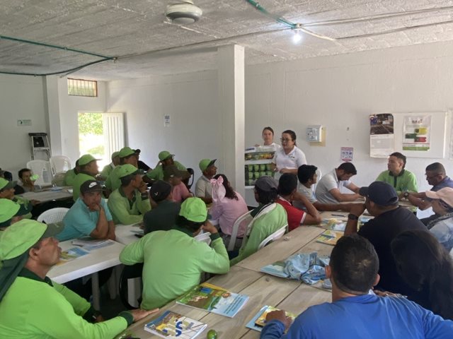Con estudiantes del Quindío, el ICA impulsa la prevención del HLB y el Foc R4T 