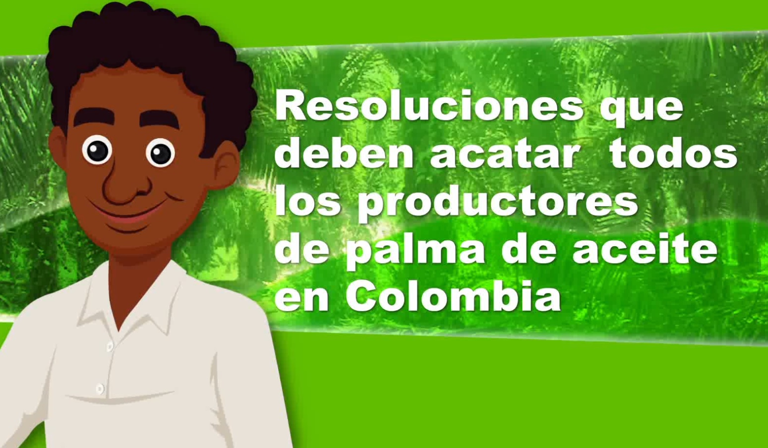 Recomendaciones productores de palma 