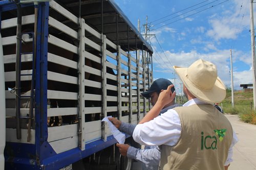 Movilizacion-Huila-1-1.JPG